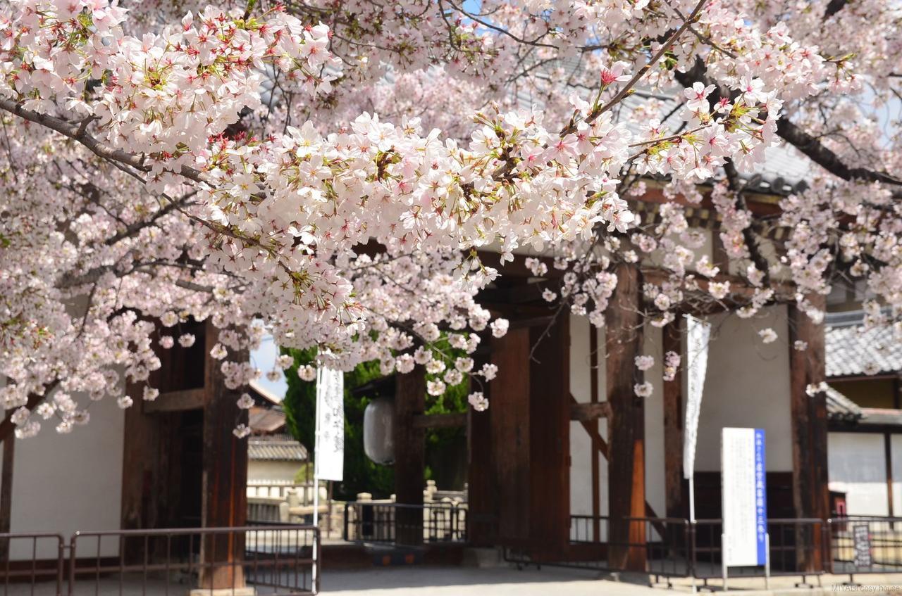 Miyabi Cosy House Hotell Kyoto Exteriör bild